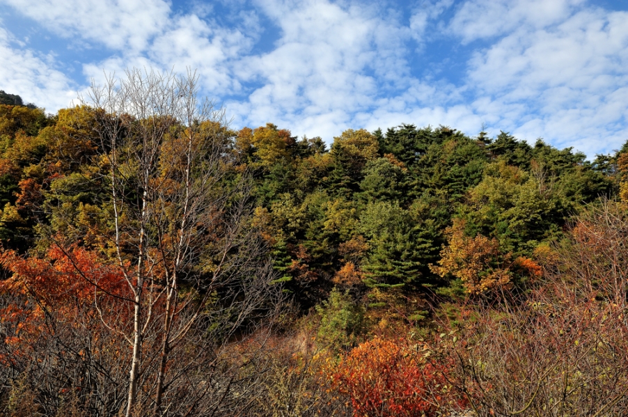 DSC_5647.jpg