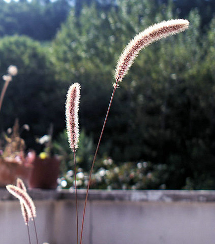L1021468.jpg