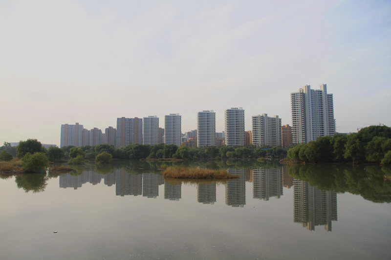秦岭 018_副本.jpg