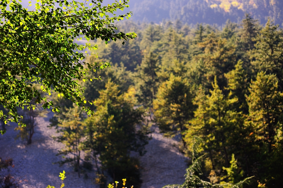 DSC_5018.jpg