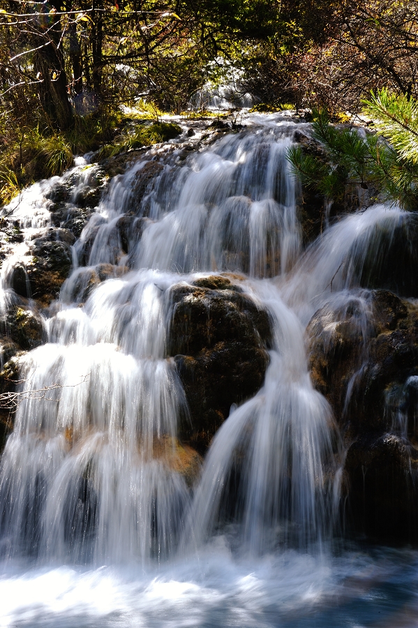 DSC_5952.jpg