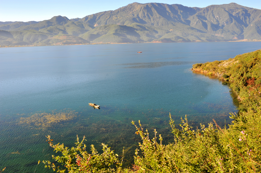 DSC_1895.JPG