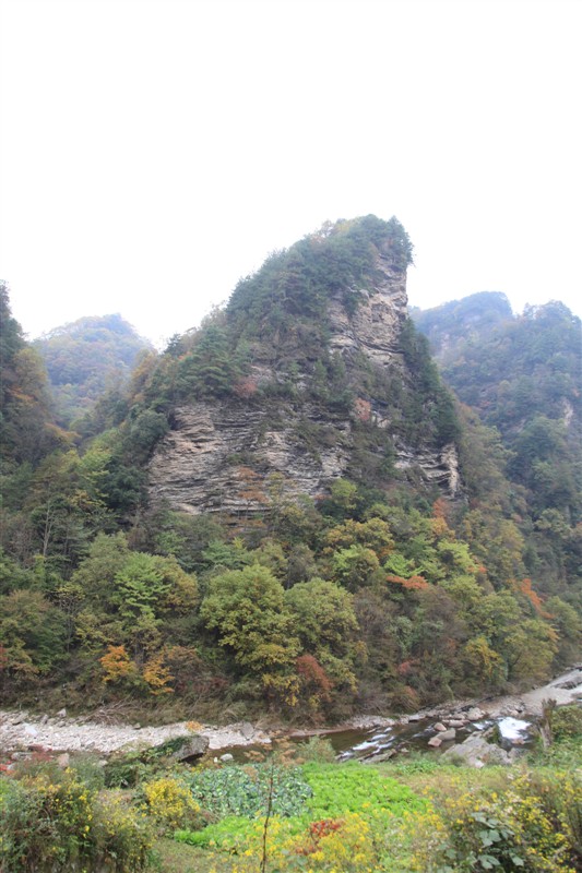 照片 072.jpg