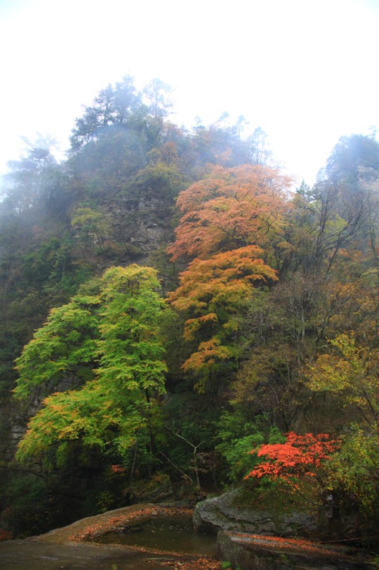 照片 106.jpg