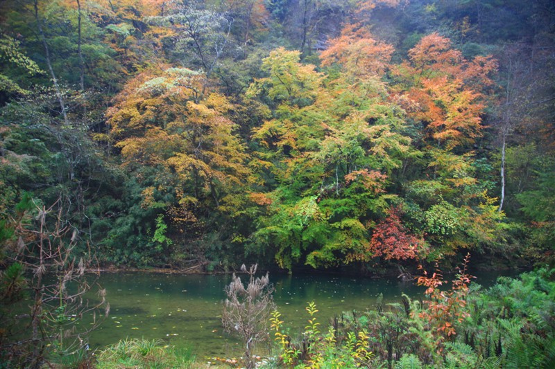 照片 110.jpg