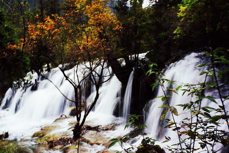 DSC01228_副本.jpg