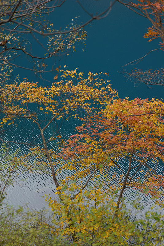 DSC01315_副本.jpg