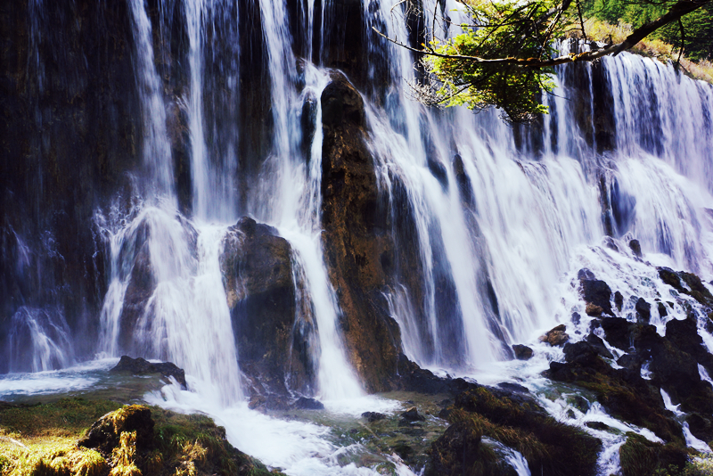 DSC01374_副本.jpg