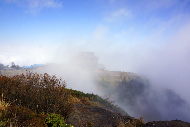 DSC02438_副本.jpg