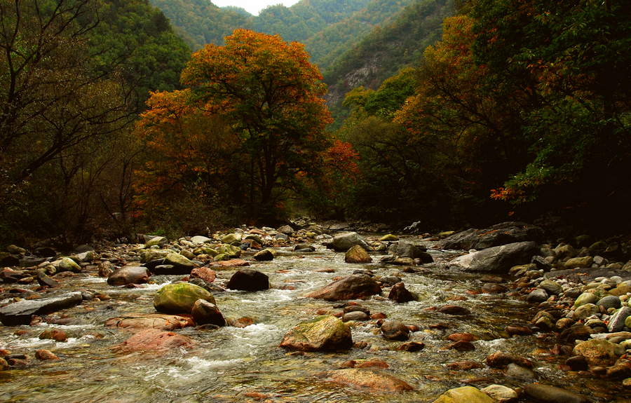 DSC_0150.JPG
