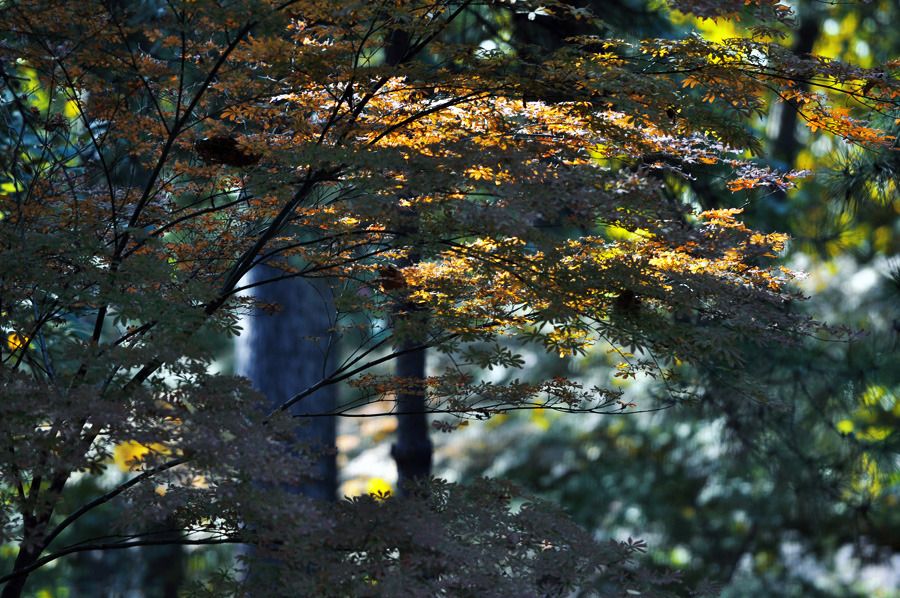 C_0026.JPG