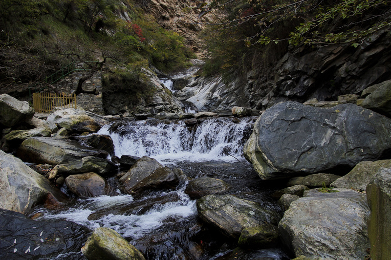 _MG_8053.jpg