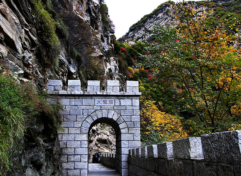 _MG_8066.jpg