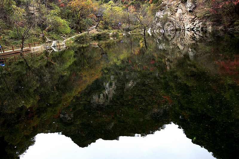 _MG_8081.jpg