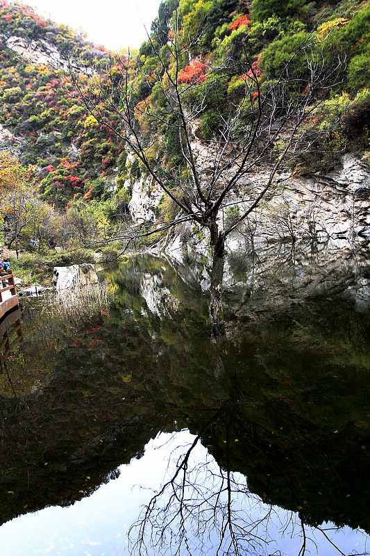 _MG_8087.jpg