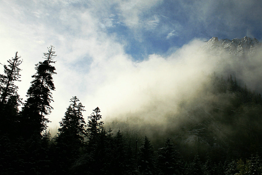 IMG_4845.jpg