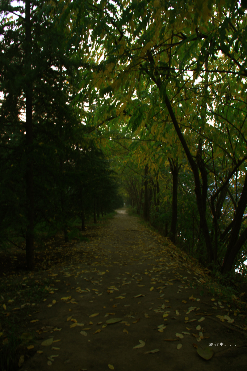 IMG_0064.jpg