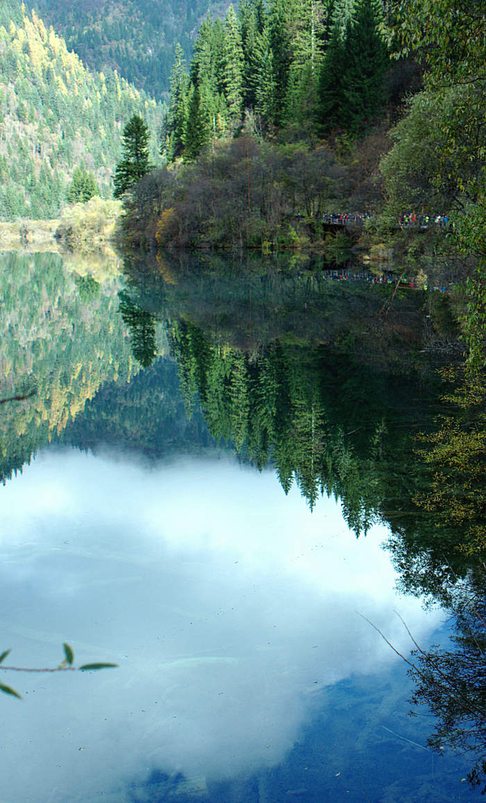 L1021725.jpg