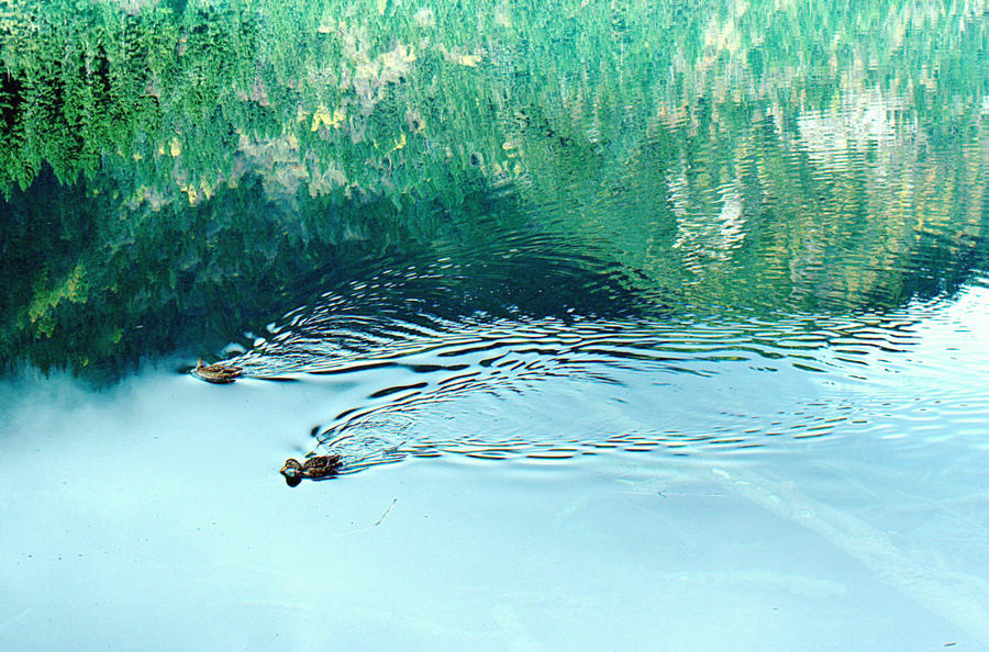 L1021731.jpg