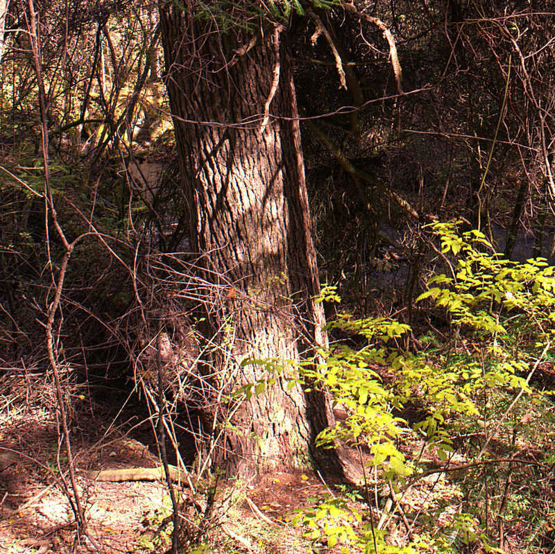 L1021791.jpg