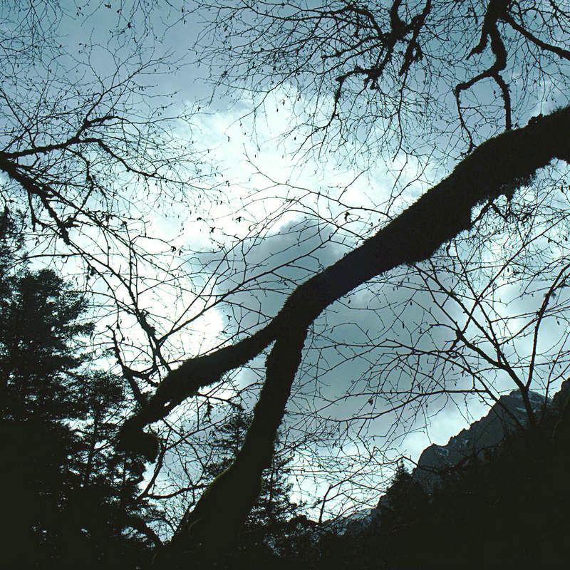 L1021916.jpg