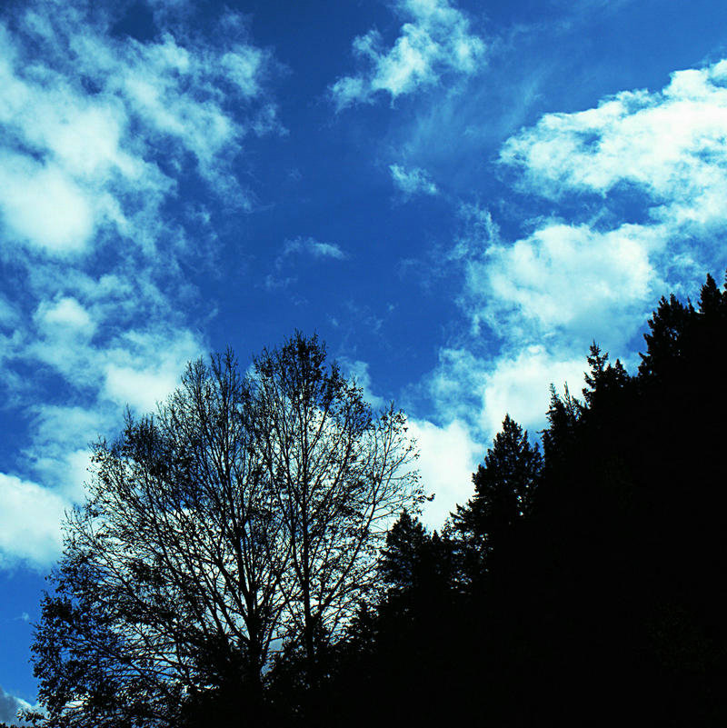 L1021975.jpg