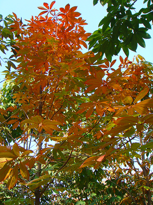 DSC09197_副本.jpg