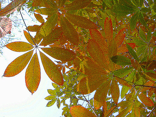 DSC09200_副本_副本.jpg