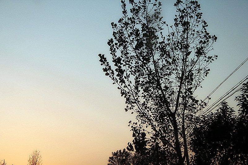 IMG_9920_副本.jpg