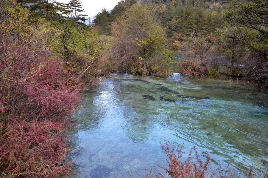 nEO_IMG_DSC_1952.jpg