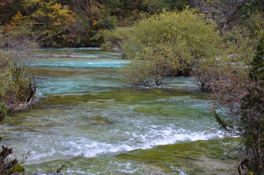 nEO_IMG_DSC_1975.jpg