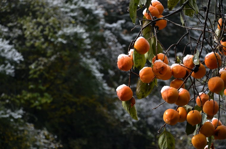 _DSC5980.jpg