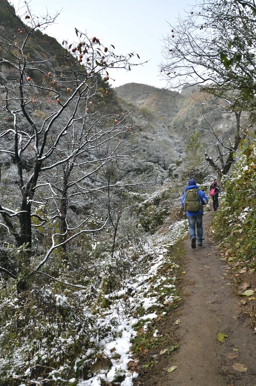 _DSC5988.jpg