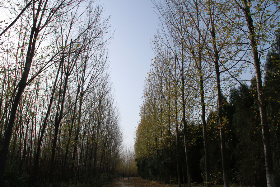2012.11.3 106.JPG