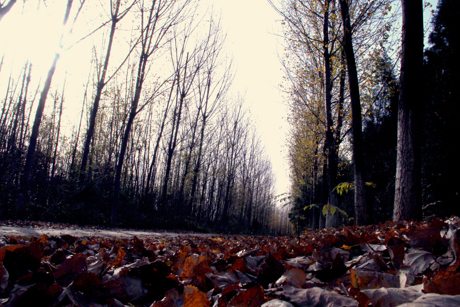 2012.11.3 109.JPG