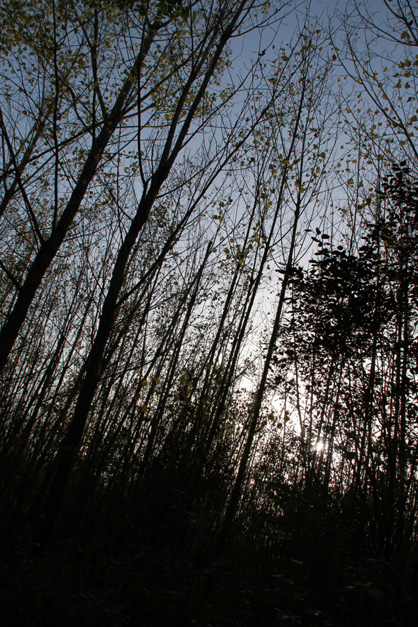 2012.11.3 236.JPG