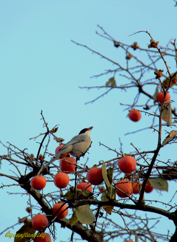 IMG_3105_副本.jpg