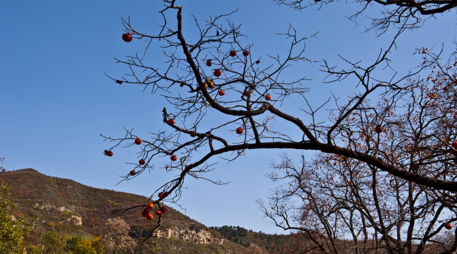 DSC_3493.JPG