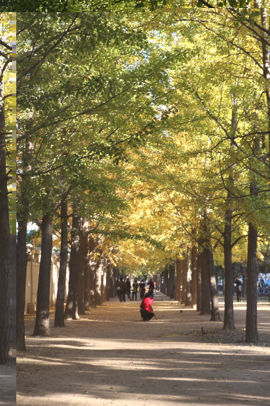 京街3.JPG