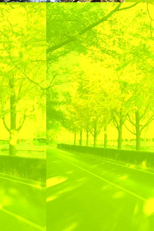 京街4.JPG