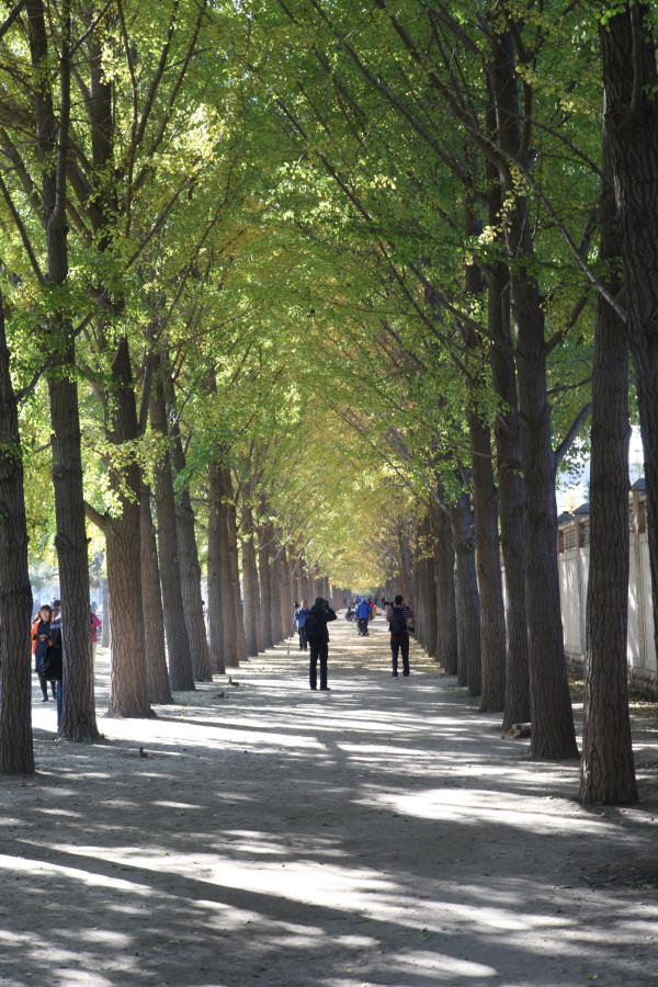 京街1.JPG