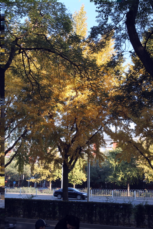 京街4.JPG