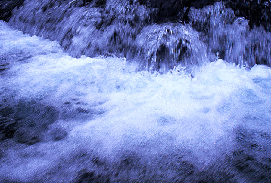 L1022214.jpg