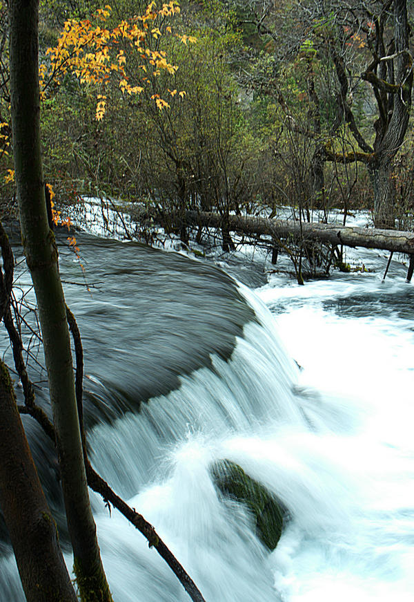 L1022317.jpg