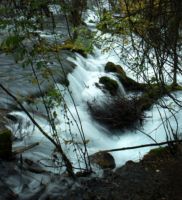 L1022316.jpg