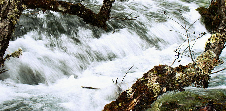 L1022218.jpg