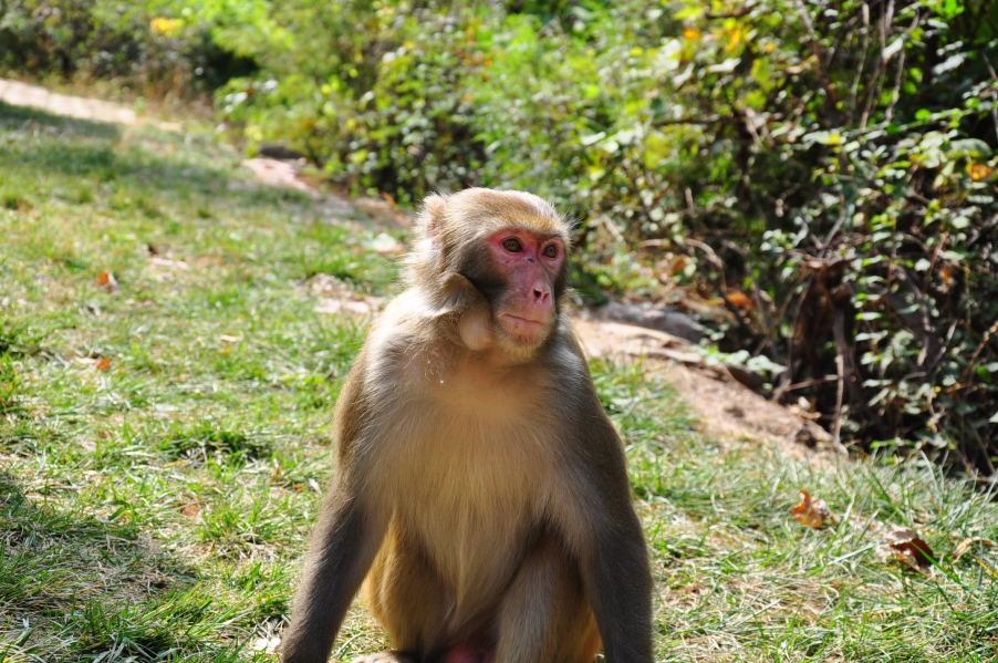 DSC_0032.jpg