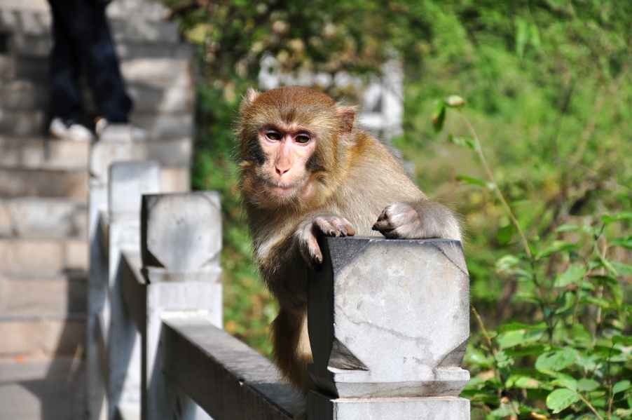 DSC_0029.jpg
