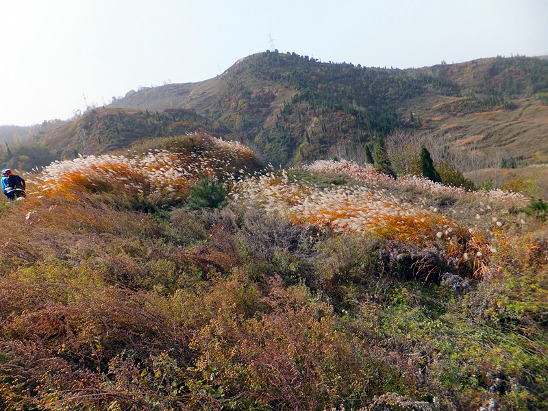 DSCF8913_副本.jpg