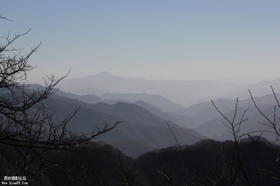 _MG_0050.JPG